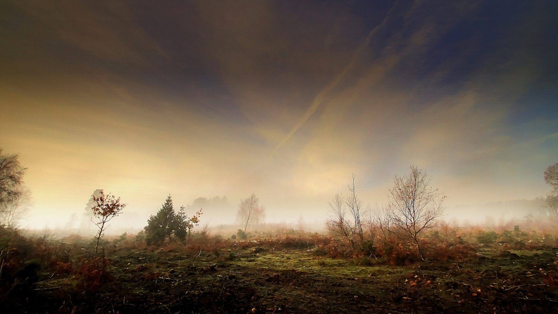 Nebel HD Wallpaper Hintergrund 1920x1080 ID492196