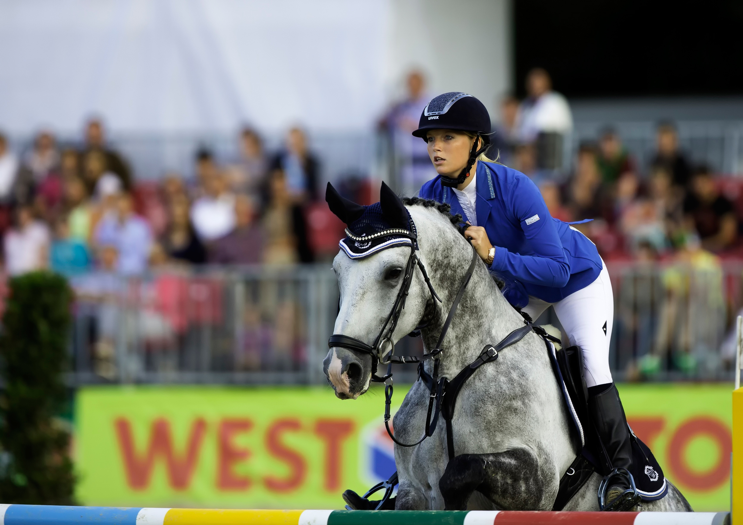 Show Jumping HD Wallpaper Background Image 2500x1768