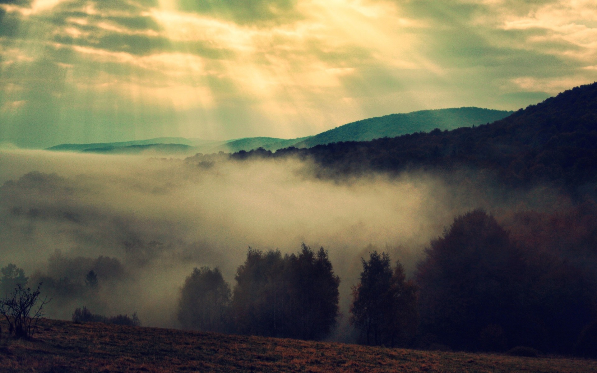 Nebel HD Wallpaper Hintergrund 1920x1200 ID591679