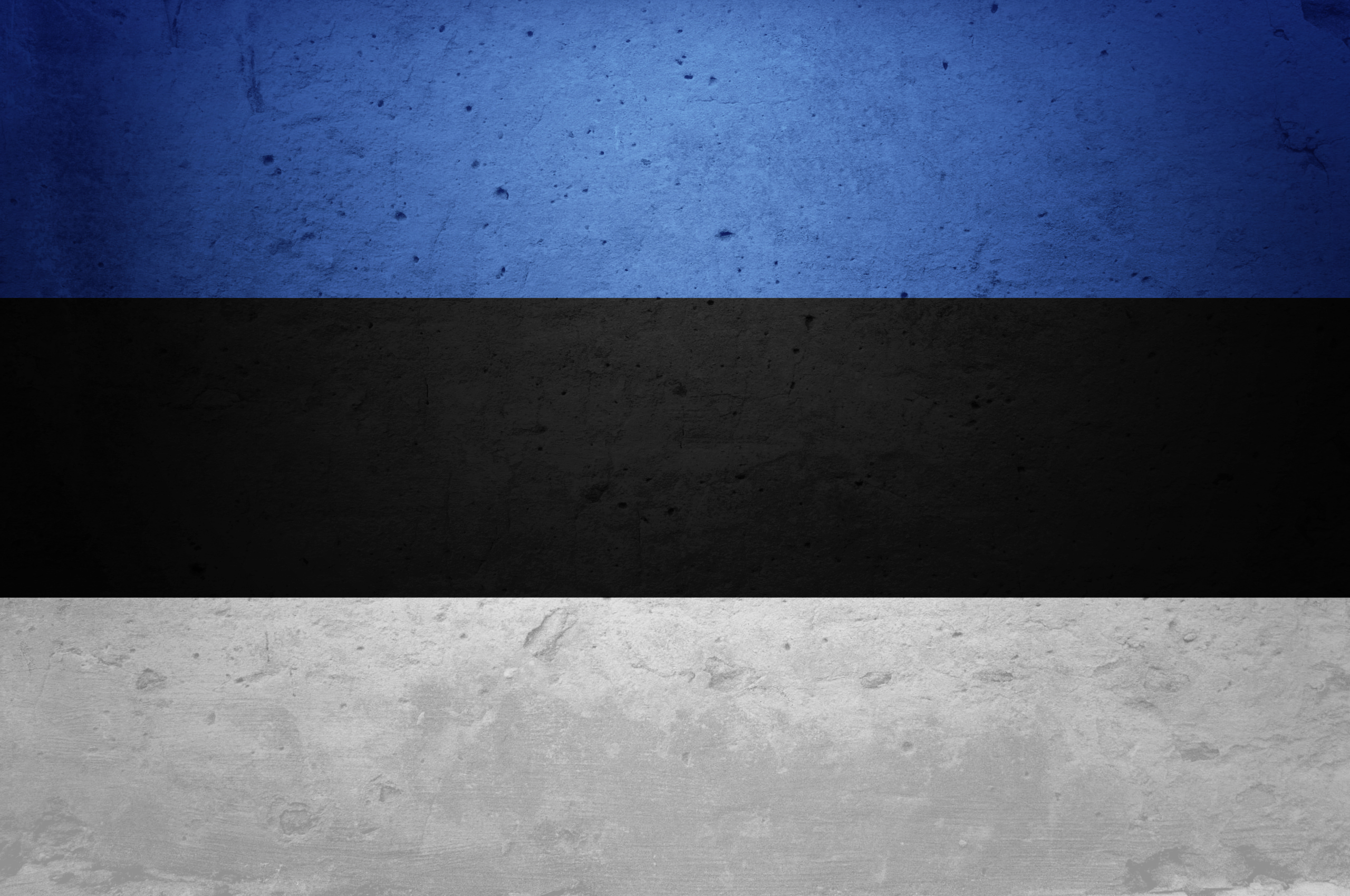 3 Flag Of Estonia HD Wallpapers Background Images Wallpaper Abyss