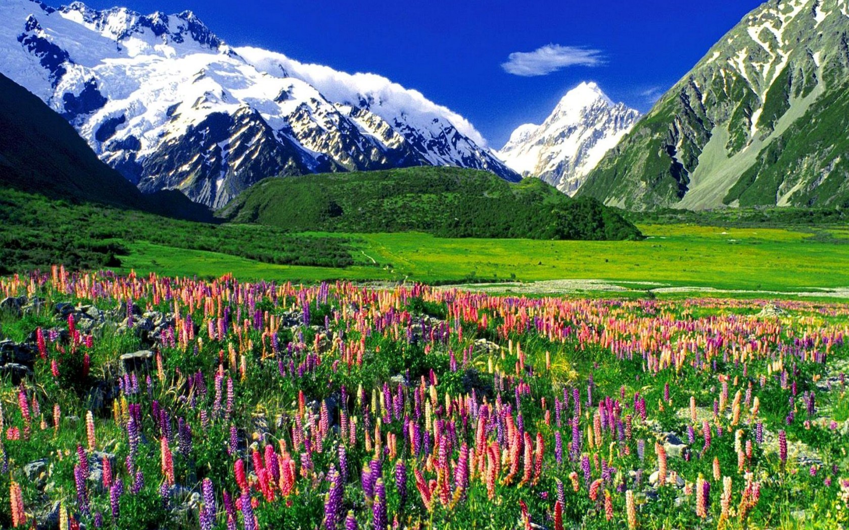 Stunning New Zealand Landscape HD Wallpaper of SnowCapped Mountains