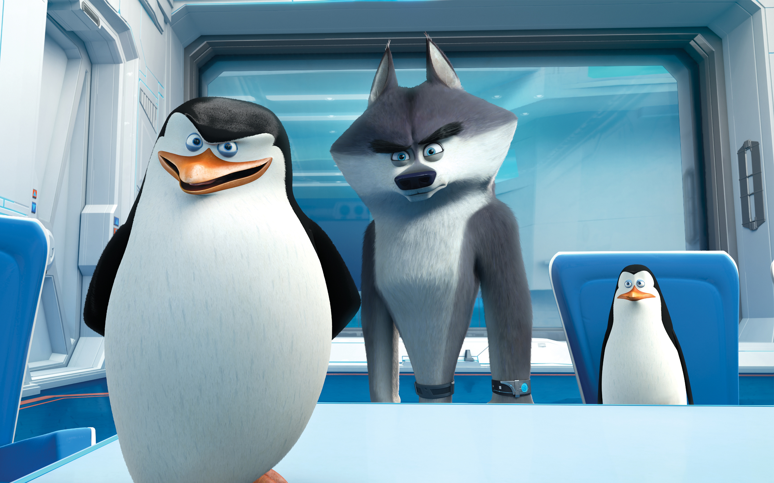 Penguins Of Madagascar HD Wallpaper Background Image 2560x1600