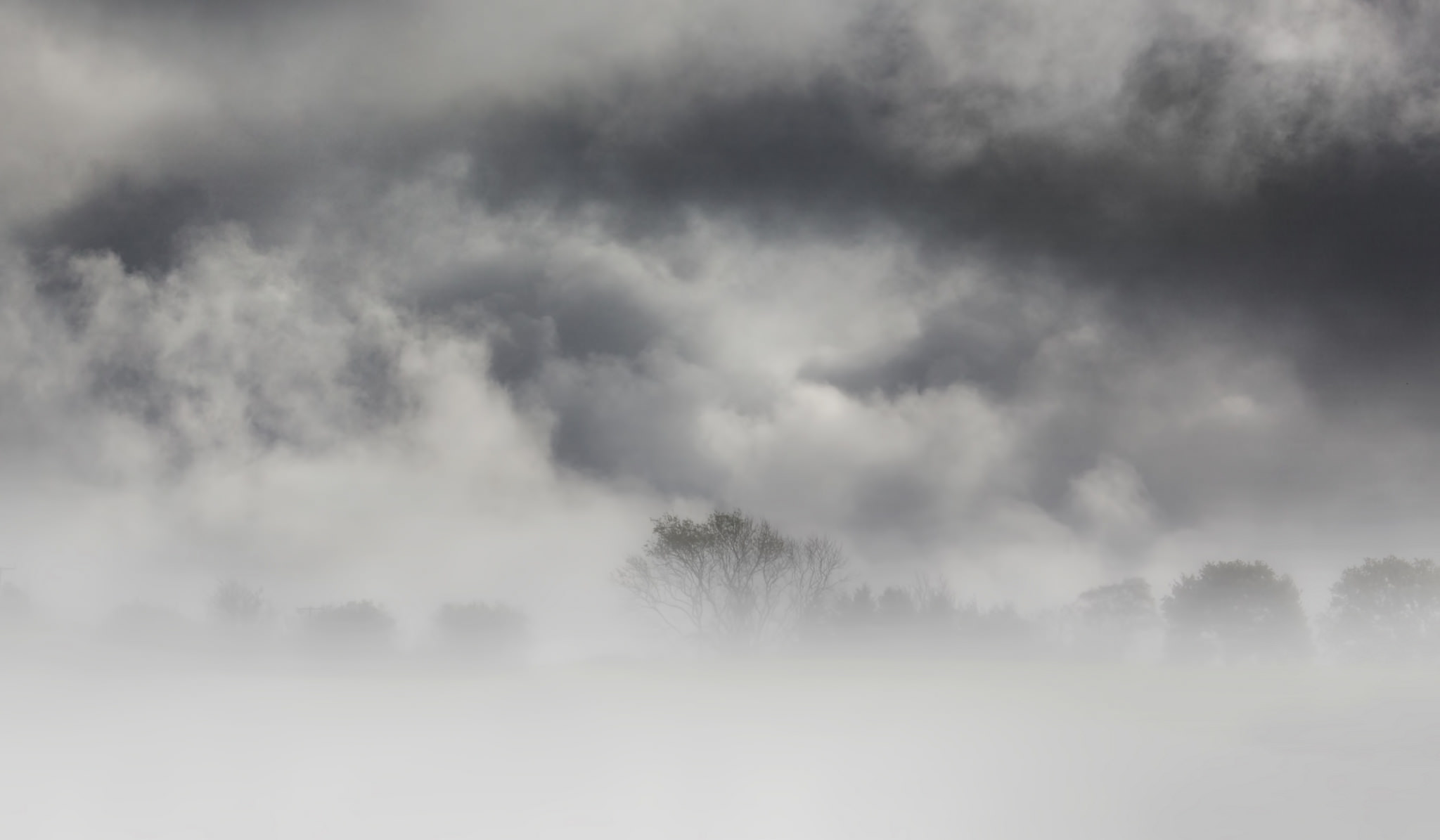 Download Cloud Nature Tree Fog HD Wallpaper