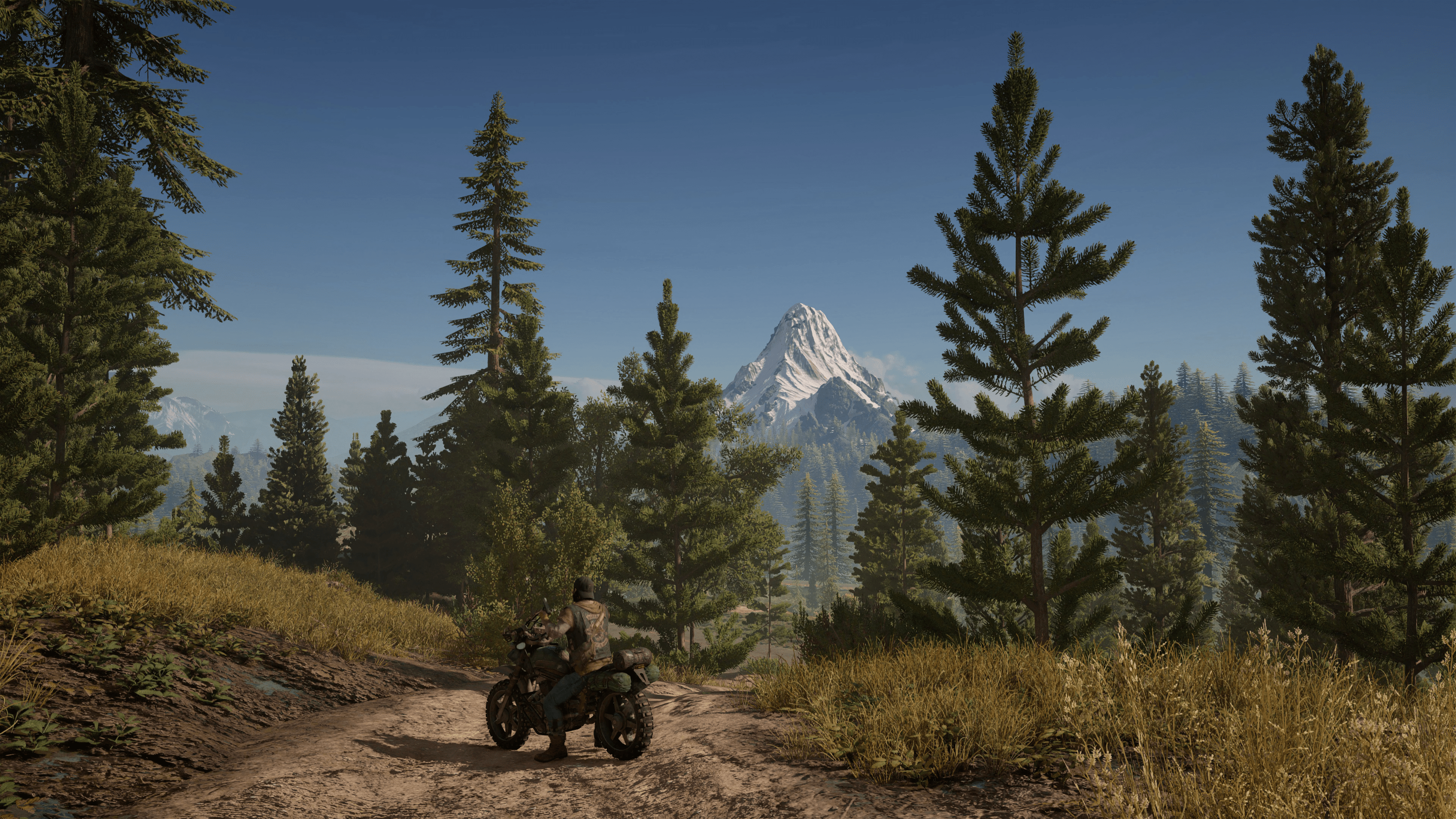 Days Gone HD Wallpaper Background Image 2880x1620 ID735740