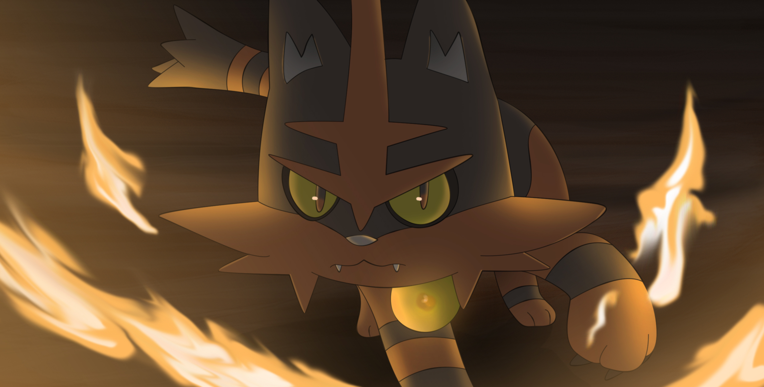 3 Torracat (Pokémon) HD Wallpapers Background Images