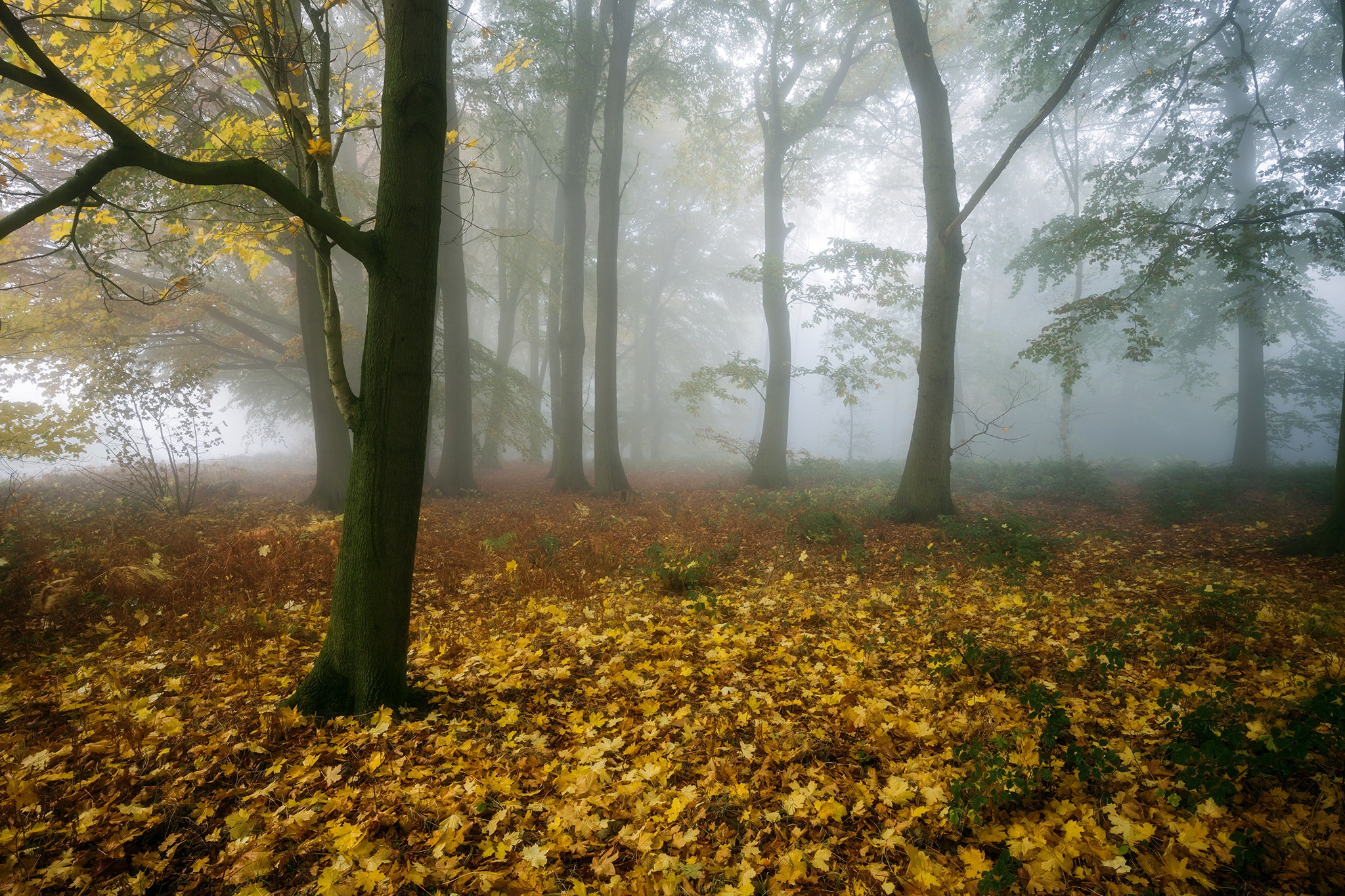 Nebel HD Wallpaper Hintergrund 2048x1365 ID765863