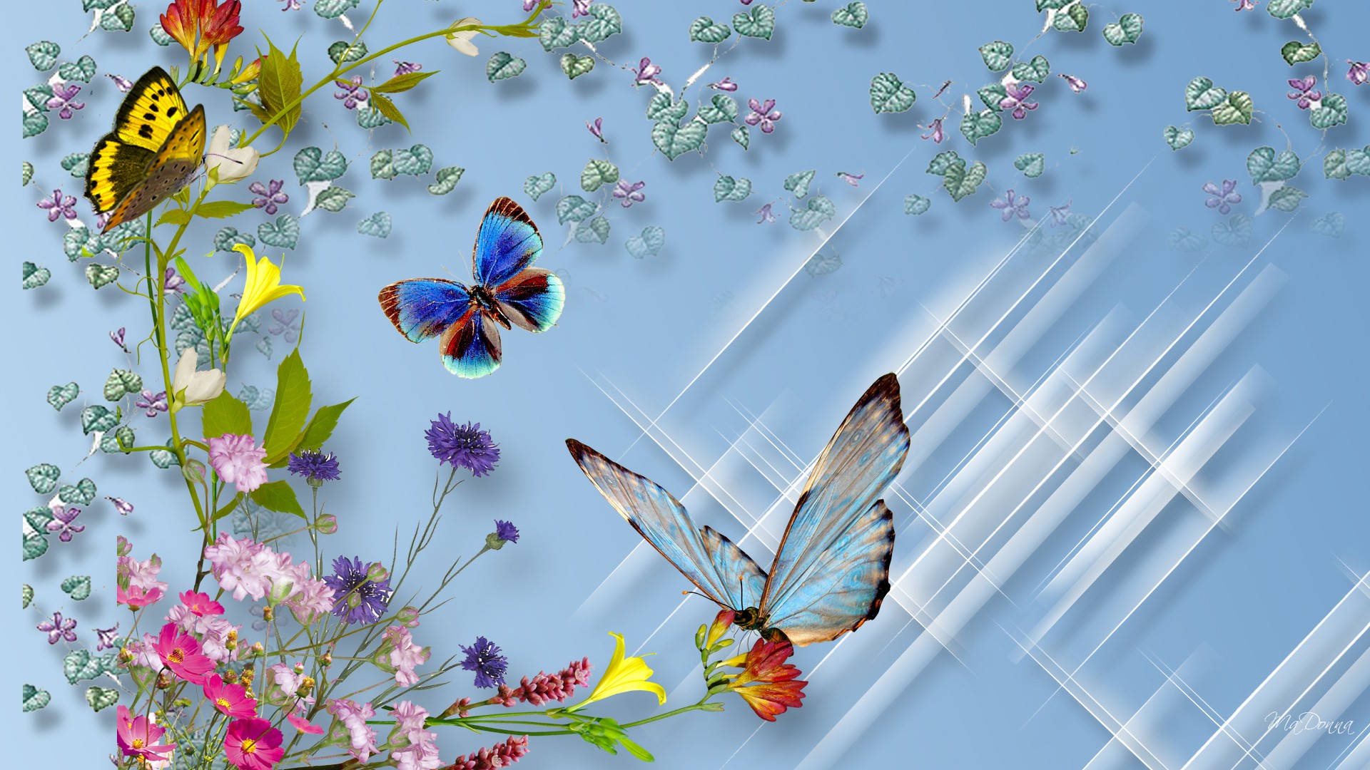Artistic Butterfly and Floral HD Wallpaper by MaDonna