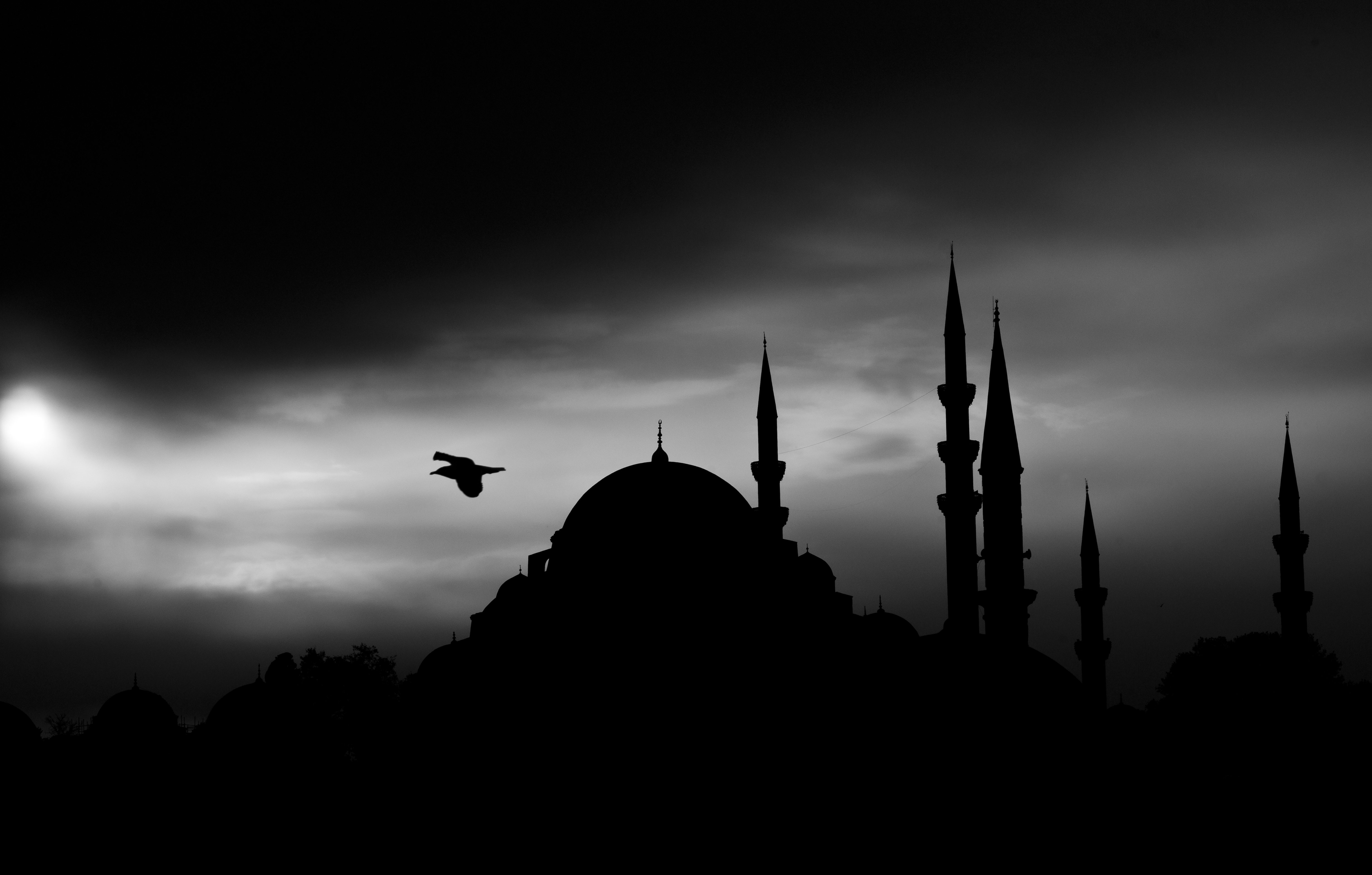 Download Night Silhouette Istanbul Mosque Religious Süleymaniye Mosque