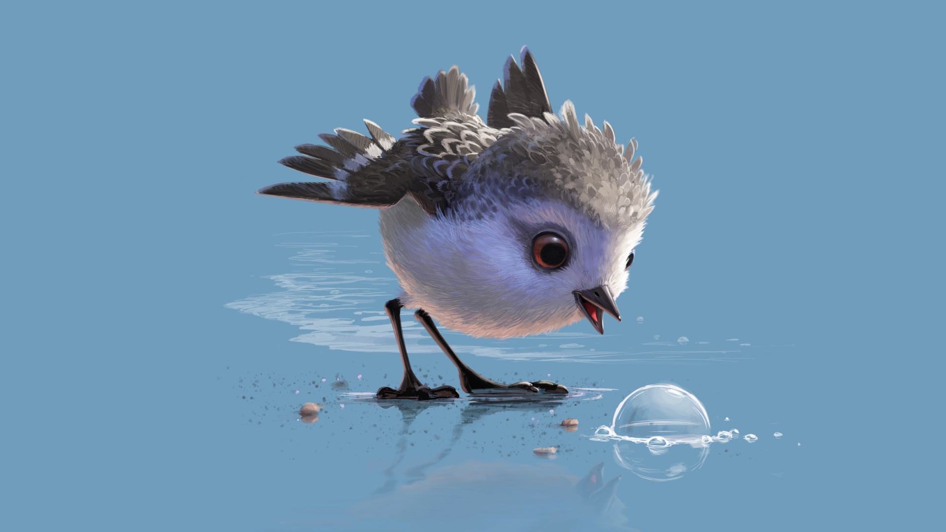 Piper HD Wallpaper Background Image 1920x1080