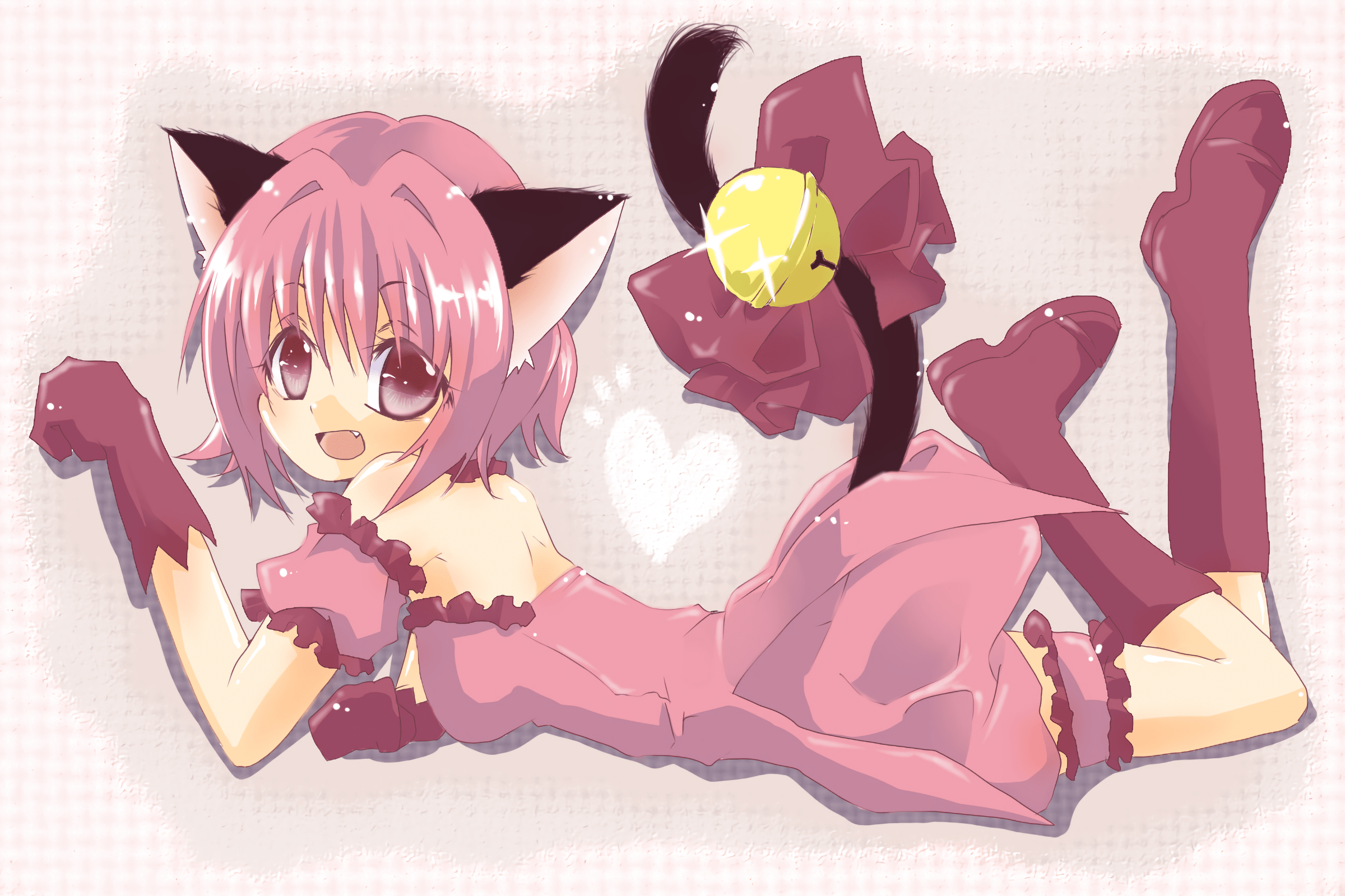 Tokyo Mew Mew HD Wallpaper Background Image 2400x1600