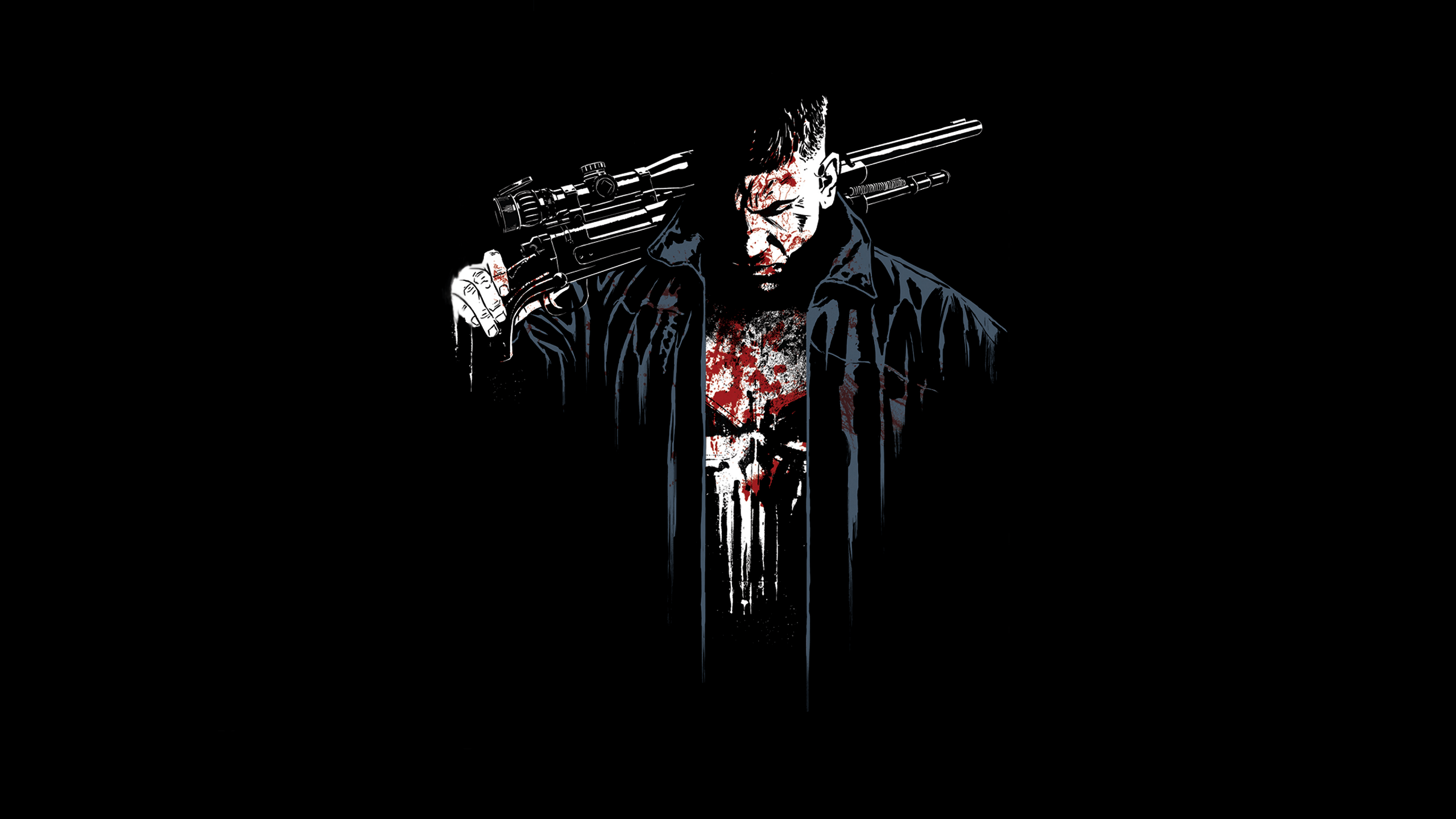 The Punisher HD Wallpaper Background Image 2560x1440