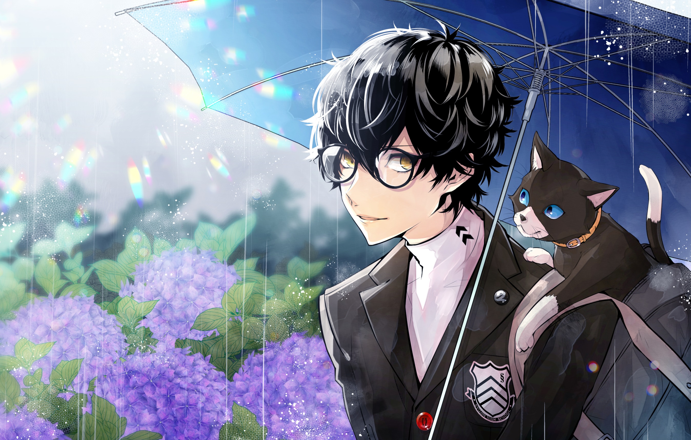 Persona 5 HD Wallpaper Background Image 2696x1720 ID