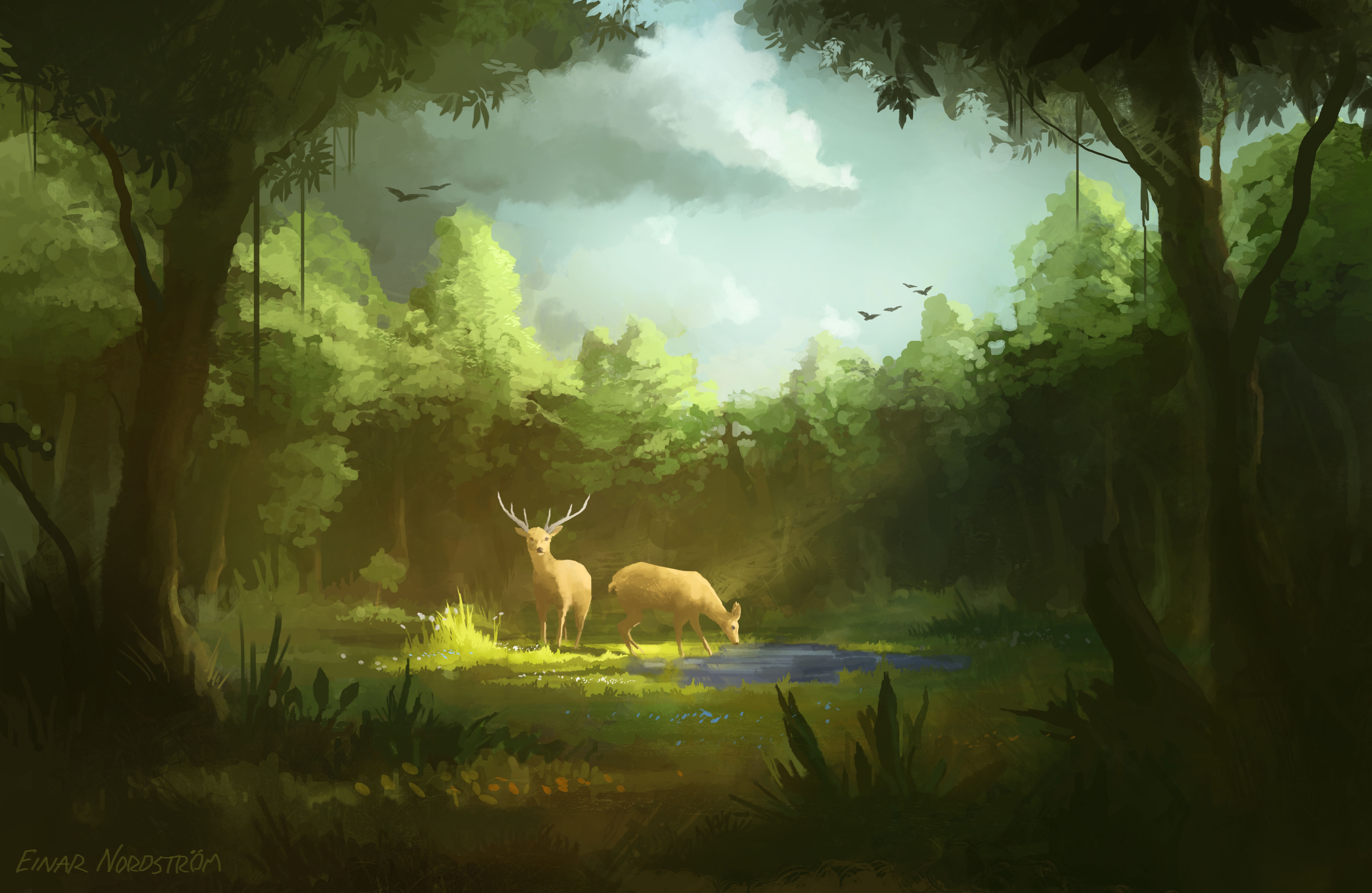 Download Nature Forest Fantasy Deer 4k Ultra HD Wallpaper by Einar