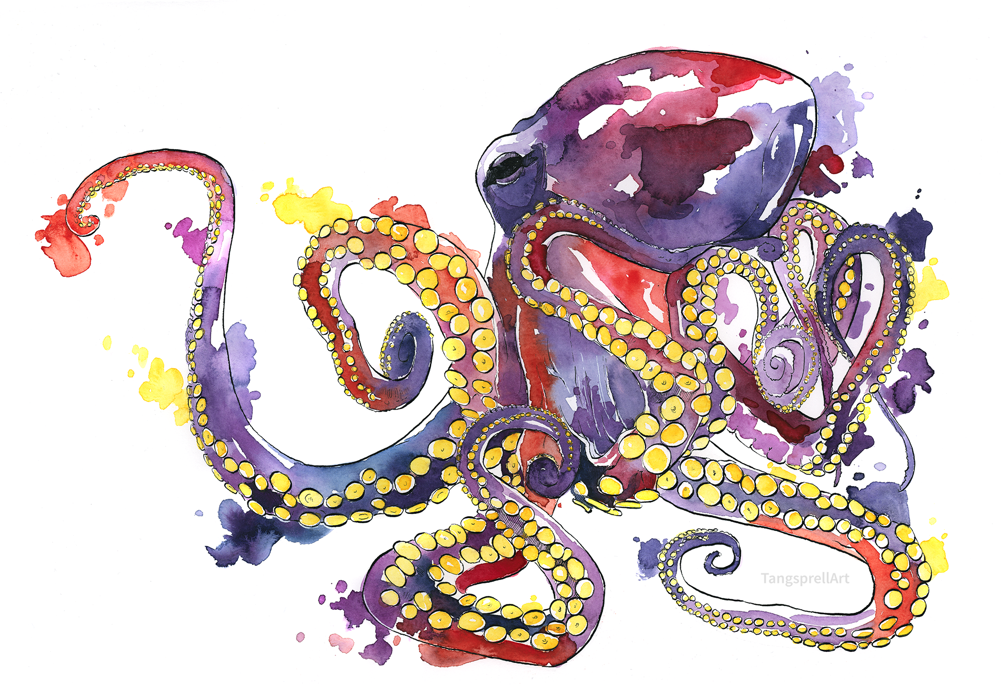 Download Watercolor Artistic Octopus HD Wallpaper