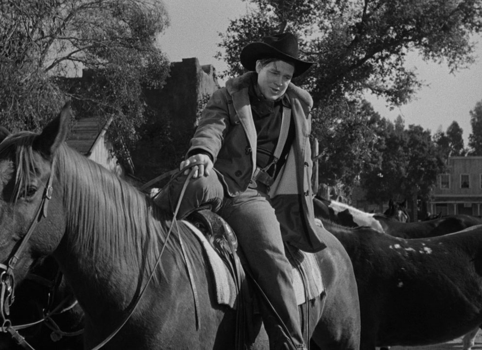 Wagon.Master.1950.720p.BluRay.x264CiNEFiLE 4.4 GB