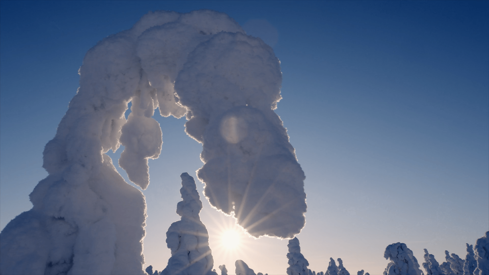 Дикая Лапландия / Wild Lapland (Мэтт Гамильтон / Matt Hamilton) [2019