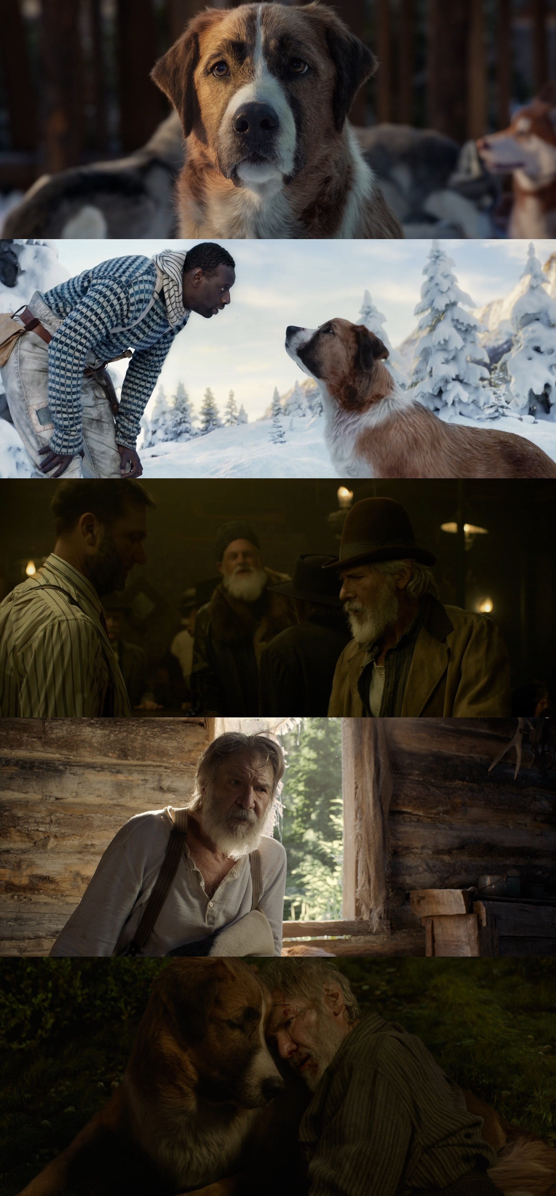 El Llamado Salvaje (2020) Brrip 1080p (60 FPS) Latino