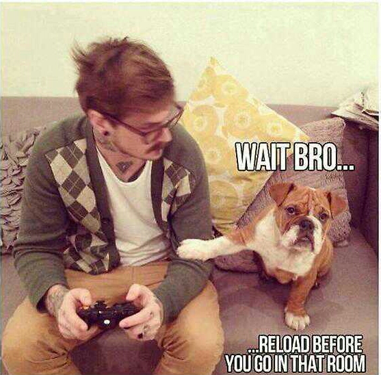Gamer dog Meme subido por Frans421421 ) Memedroid
