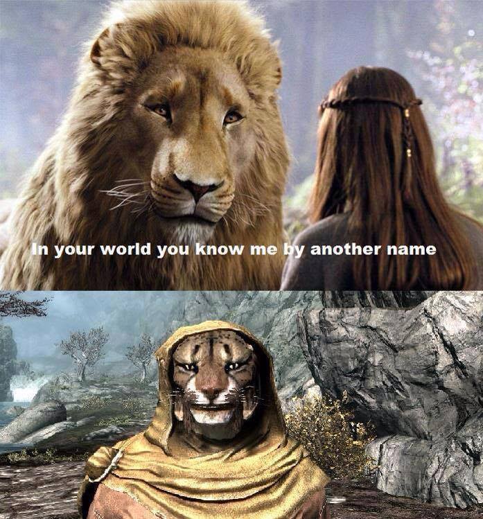 The best khajiit memes ) Memedroid