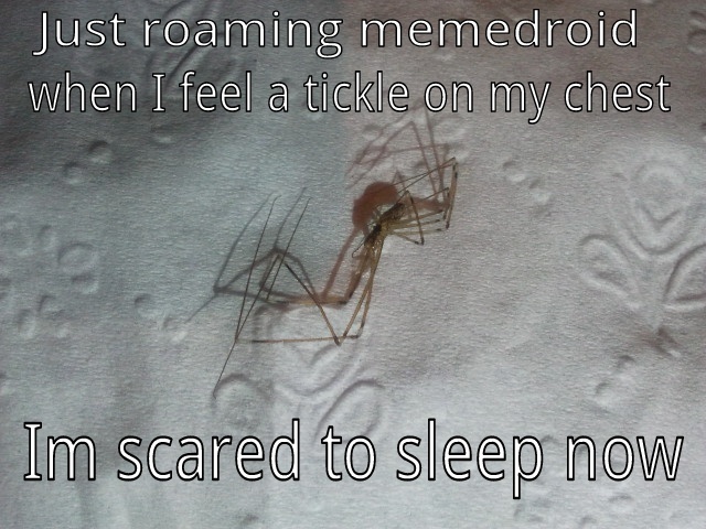 Spider Daddy Long Legs Meme Meme Painted