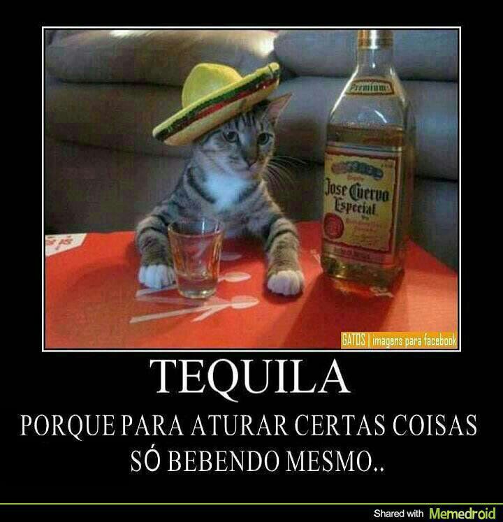 tequila Meme by tiagomocelincwb ) Memedroid