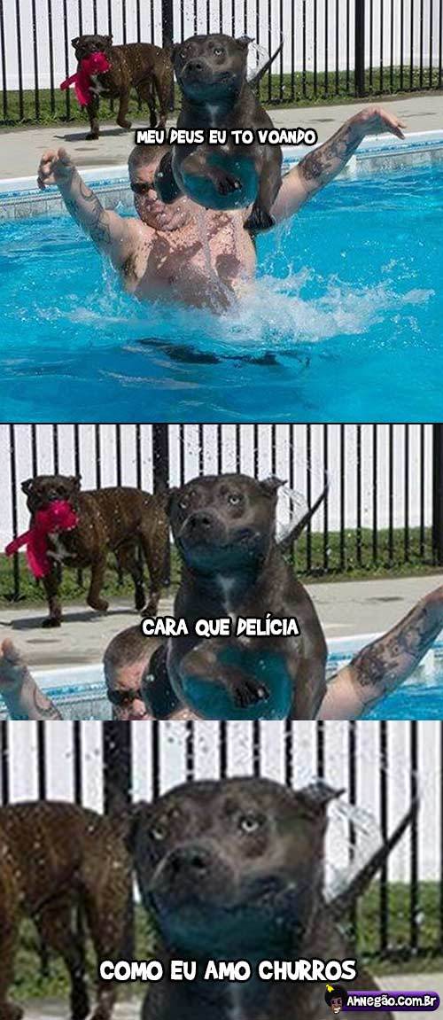 Le flying dog Meme by mayke017 ) Memedroid