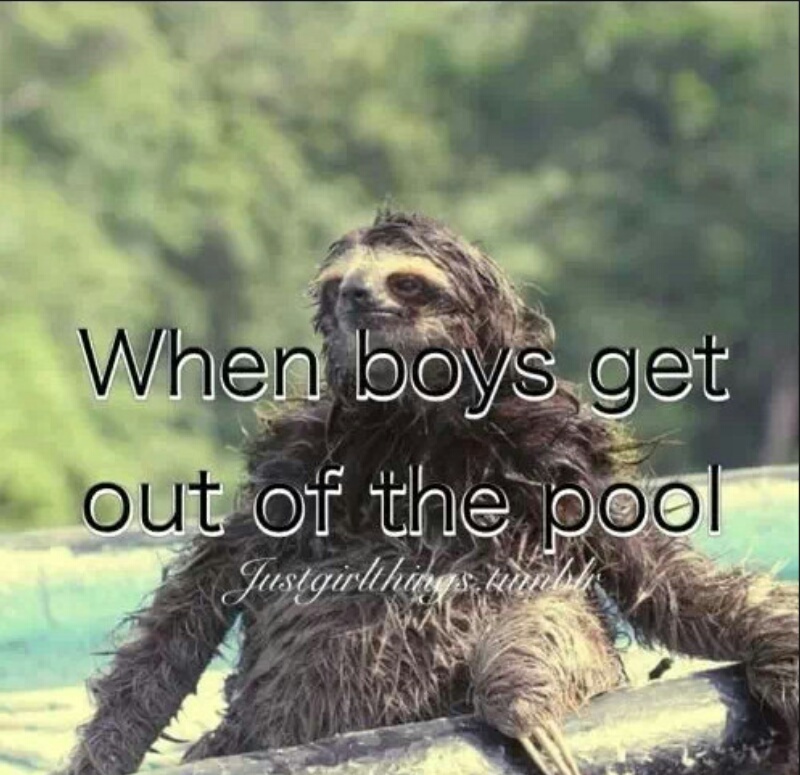 sloth Meme by stevenpp3 ) Memedroid