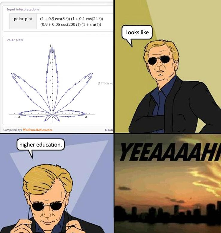 Algebra Bitch Meme by MobyNick ) Memedroid