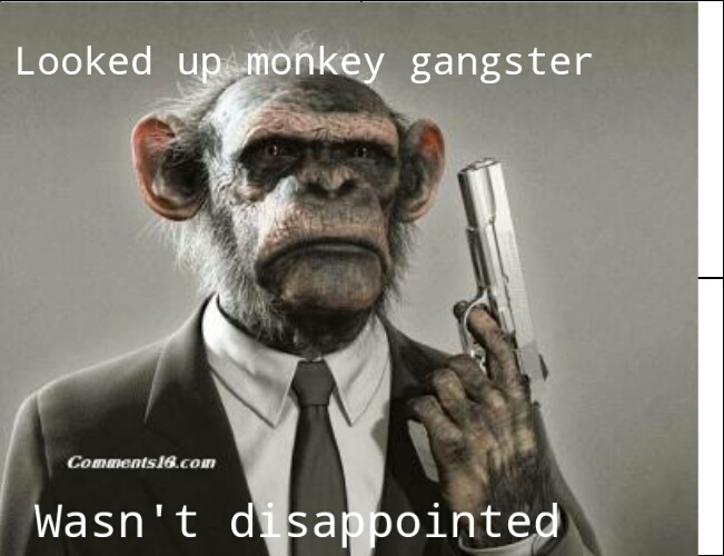 Monkey gangster Meme by Hattie_Hattington ) Memedroid