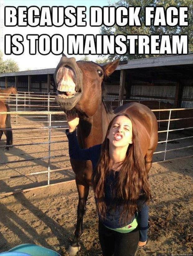 horse face Meme by PontusBlue ) Memedroid