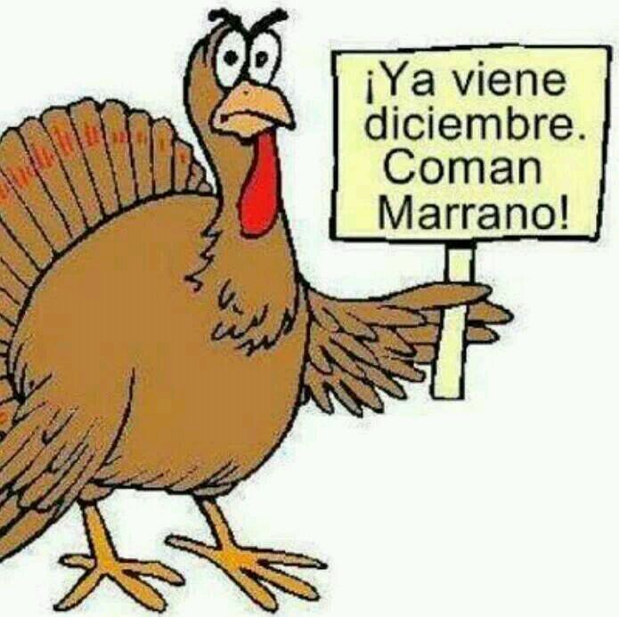 pobre pavo.... Meme subido por kaixokaixo ) Memedroid