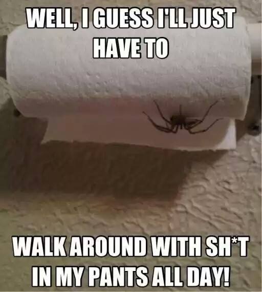 Big Scary Spiders Meme