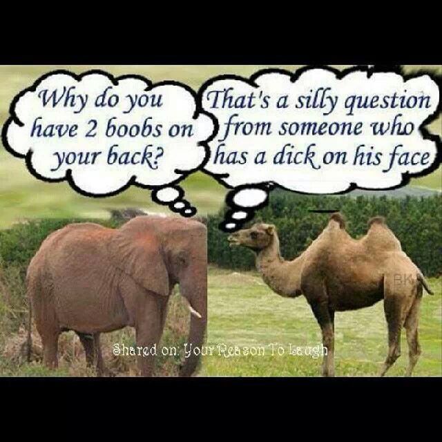 kettle calling the pot black Meme by todd.bandy90 ) Memedroid