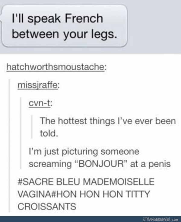 I'll speak french between your legs Meme by aryn1235 ) Memedroid