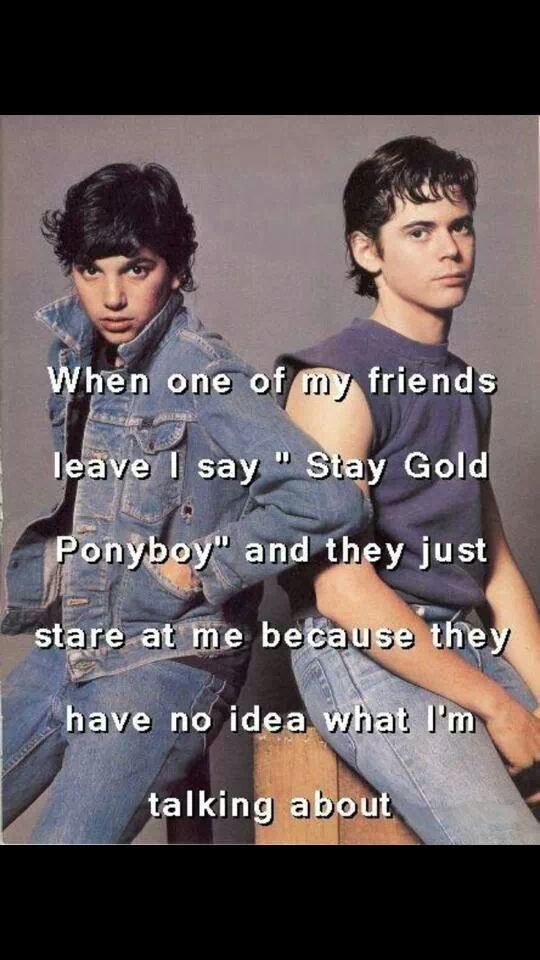 The outsiders Meme by pmartrules ) Memedroid