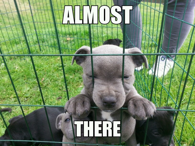 escape Meme by Kremkar ) Memedroid