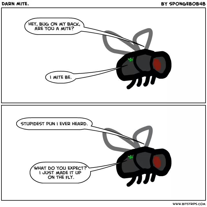 on the fly Meme by zaneymoon ) Memedroid
