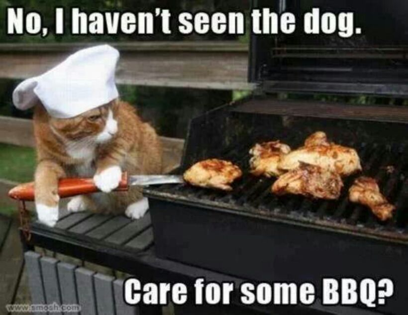 Care for some BBQ Master? Meme by tehusen ) Memedroid