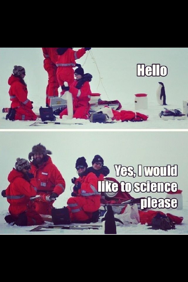 Aww little guy Meme by mckaylahpoop ) Memedroid