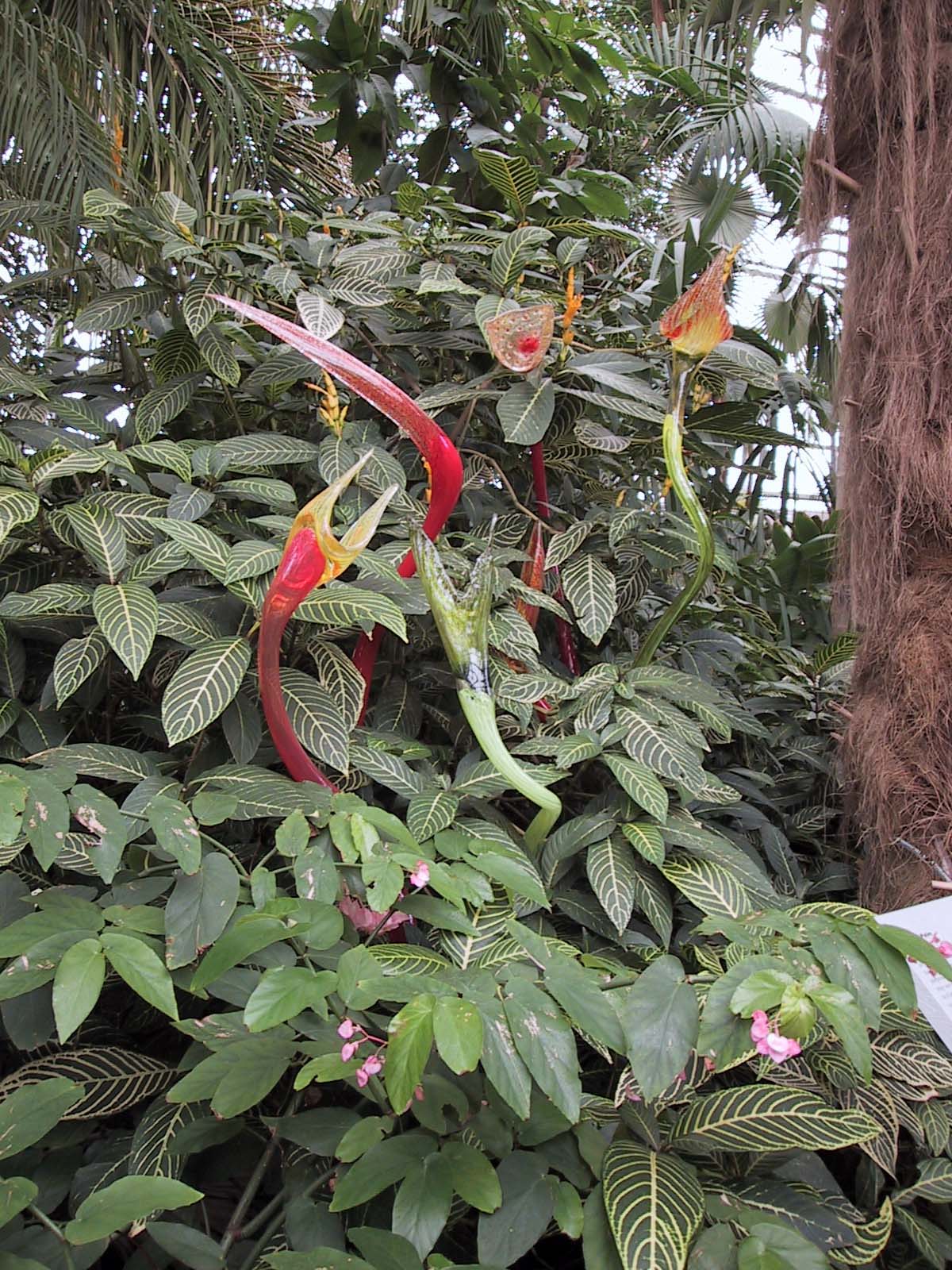 From the Chihuly in the Park A Garden of Glass at Garfield Park