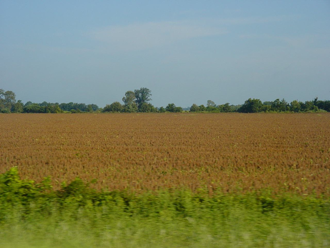 Arkansas farmland Pics4Learning