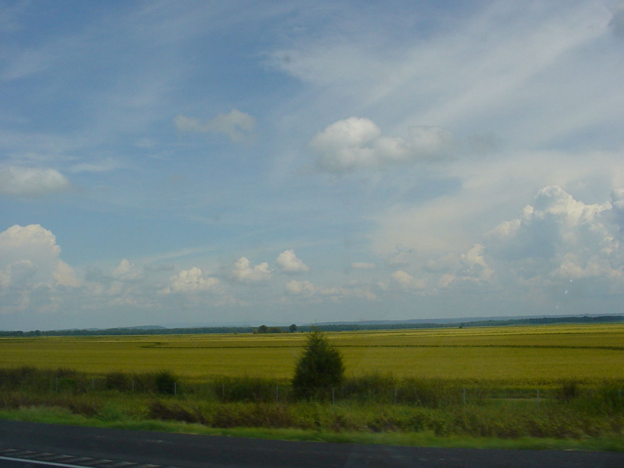 Arkansas farmland Pics4Learning