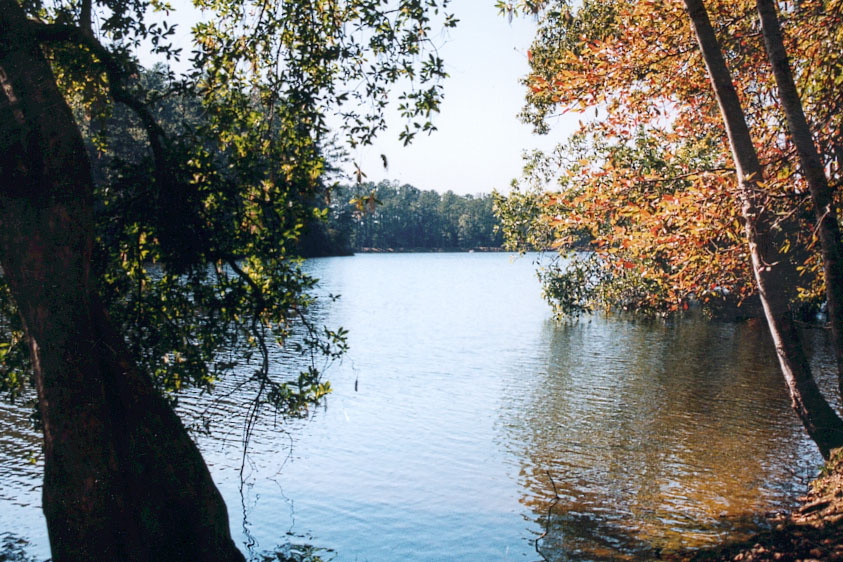 Clarkco State Park, Quitman, MS Pics4Learning