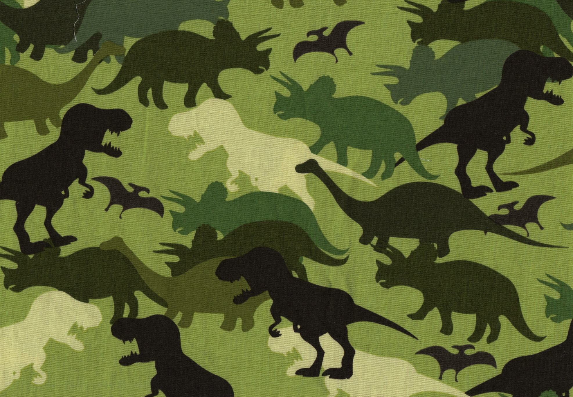 dinosaur fabric Pics4Learning