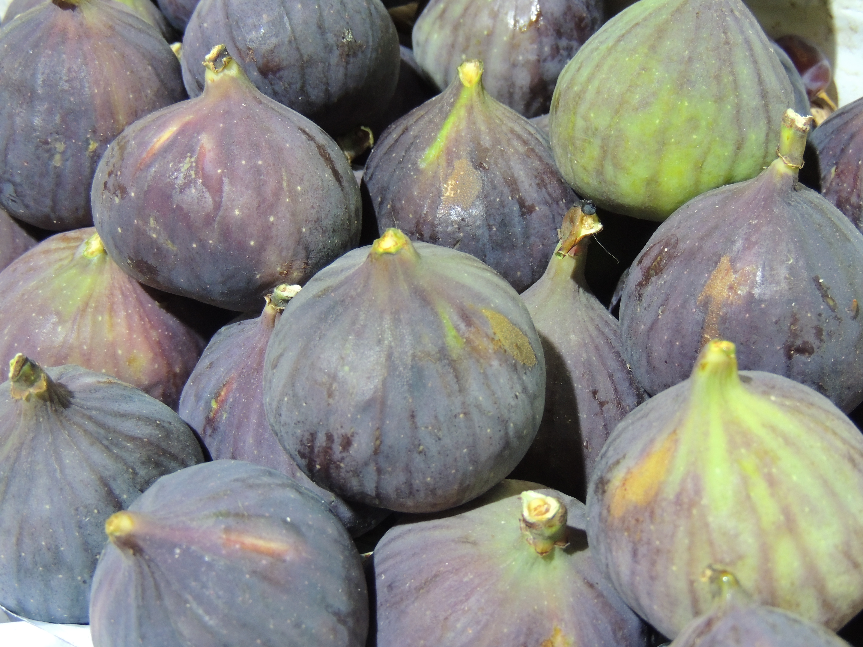 Figs at Heritage Souk, Kuwait City, Kuwait Pics4Learning