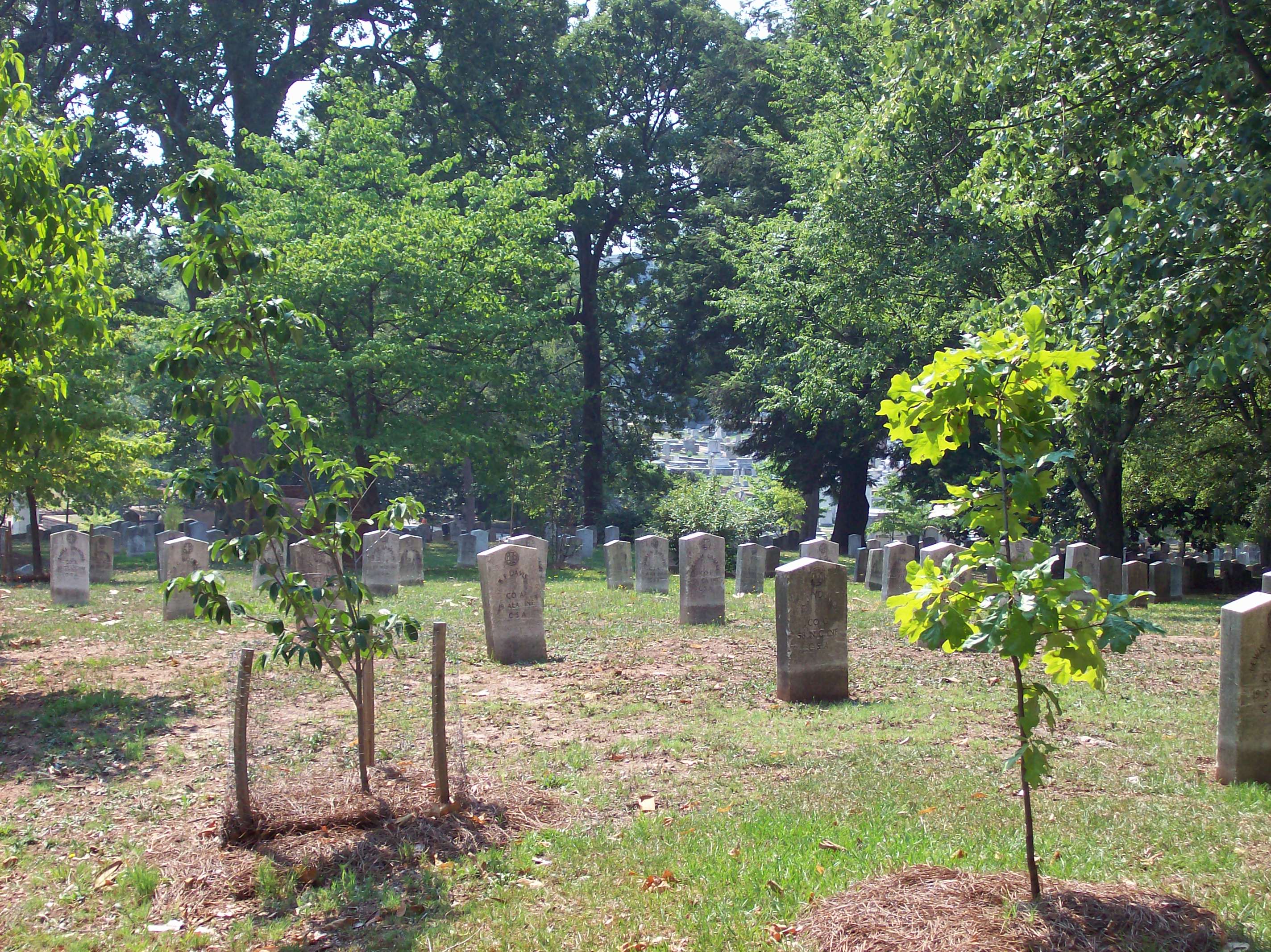 Cemetery Pics4Learning