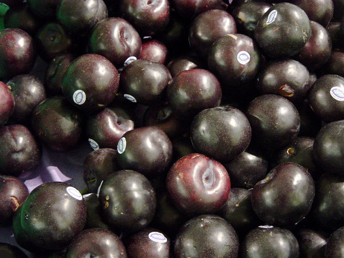 Plums, las ciruelas Pics4Learning