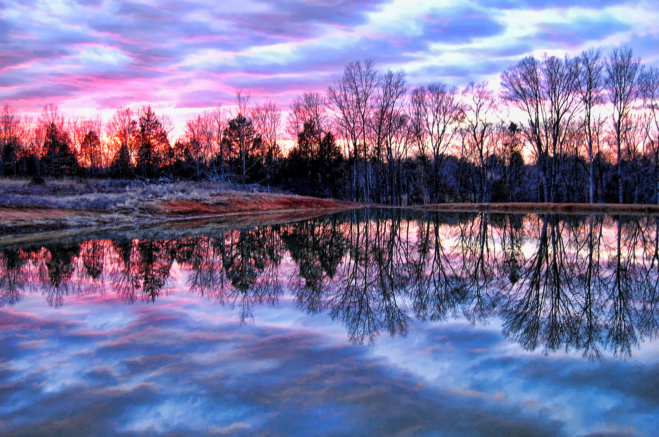 missouri winter pond Pics4Learning