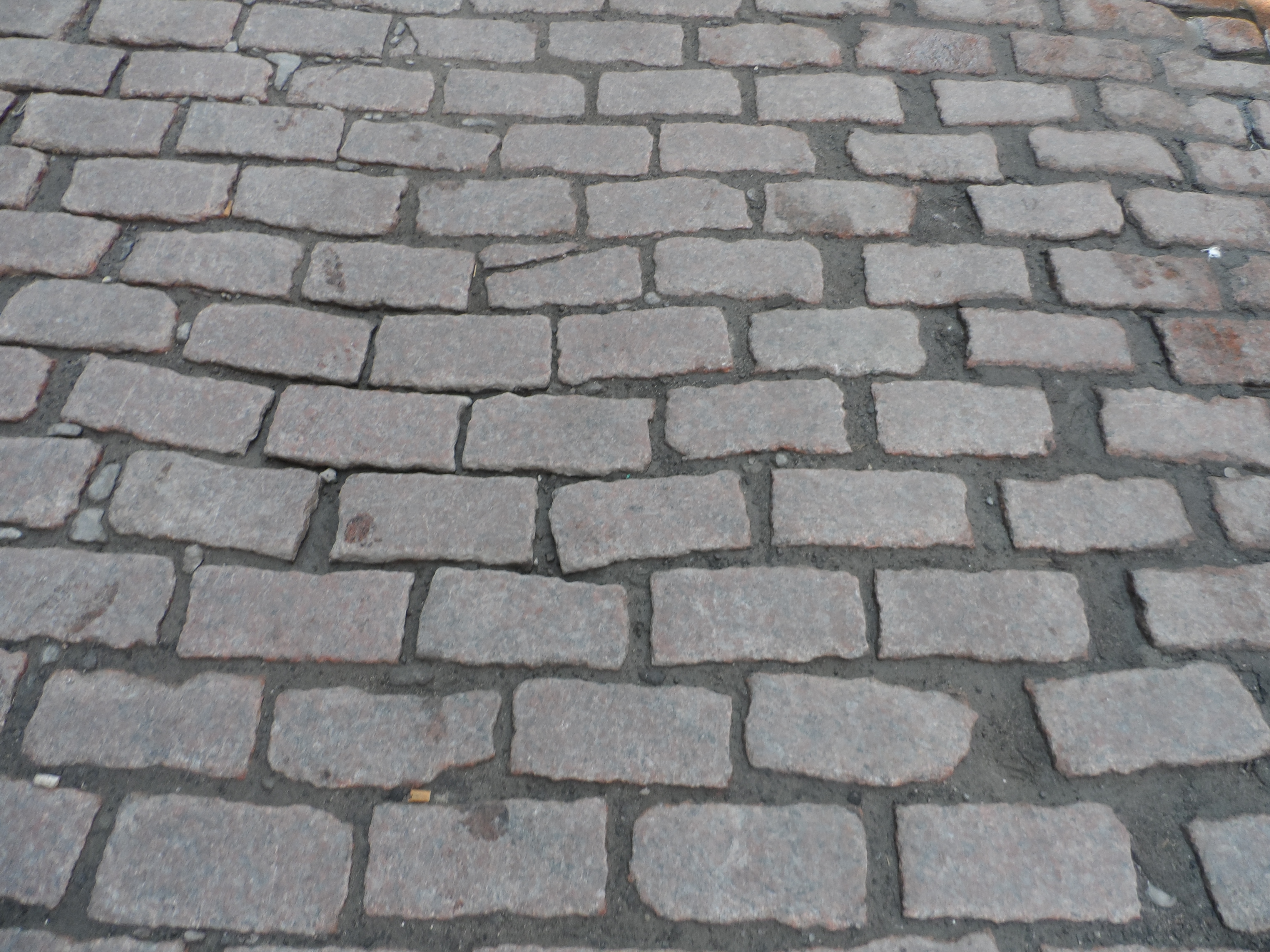 Cobblestone Street in Montreal Pics4Learning