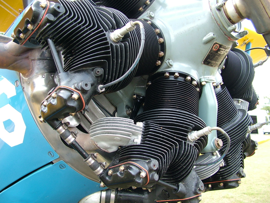 Steerman plane at the Eustis FL airport. Pics4Learning